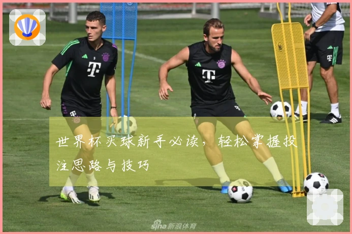 世界杯买球新手必读，轻松掌握投注思路与技巧