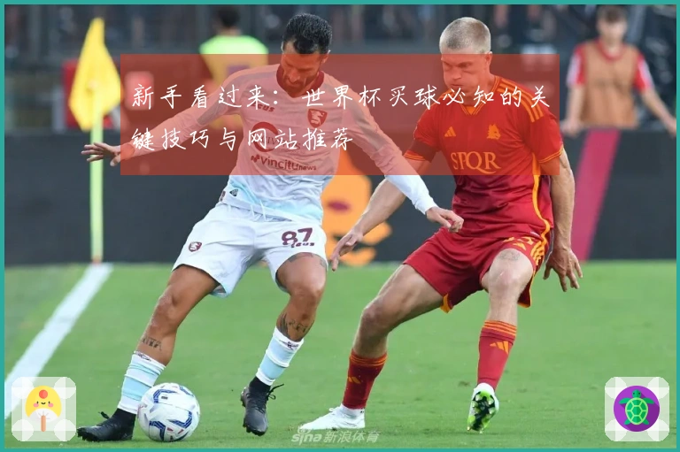新手看过来：世界杯买球必知的关键技巧与网站推荐