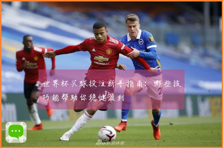 世界杯买球投注新手指南：哪些技巧能帮助你稳健盈利