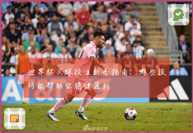 世界杯买球投注新手指南：哪些技巧能帮助你稳健盈利