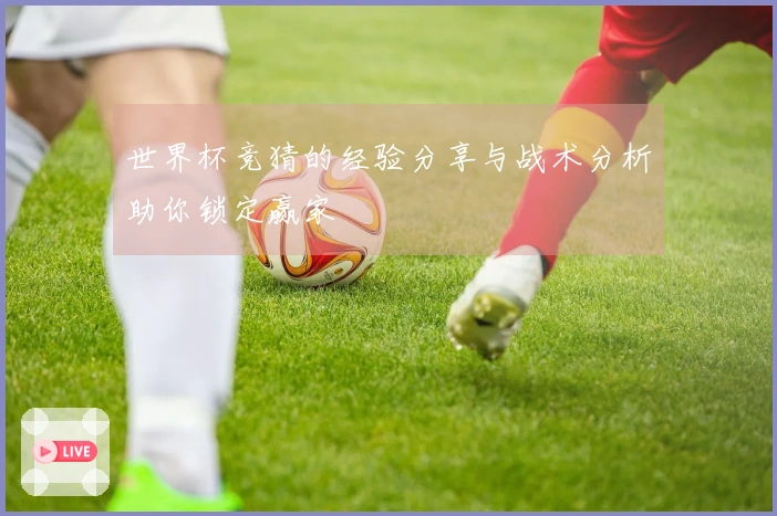 世界杯竞猜的经验分享与战术分析助你锁定赢家