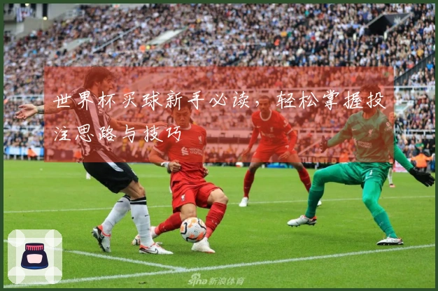 世界杯买球新手必读，轻松掌握投注思路与技巧