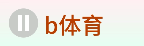 b体育 logo